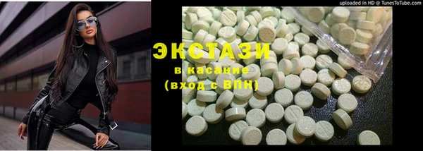 соль ск Ельня