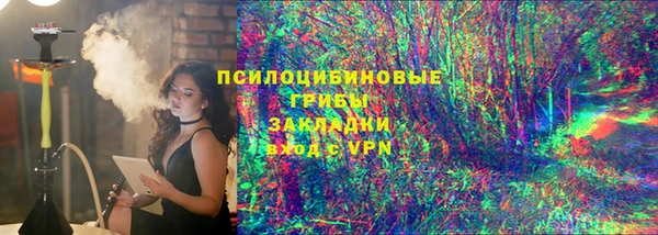 индика Дмитровск
