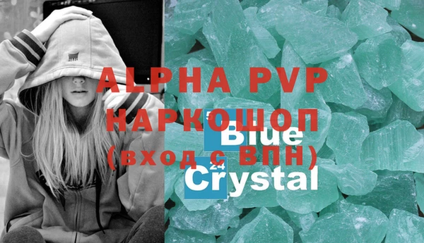индика Дмитровск