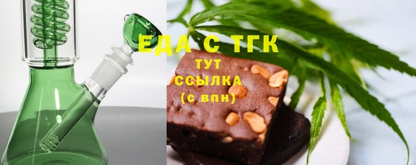 индика Дмитровск