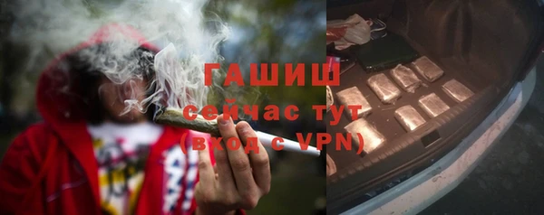 индика Дмитровск