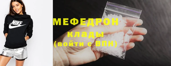 соль ск Ельня