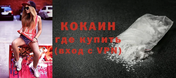 МДПВ Дмитриев