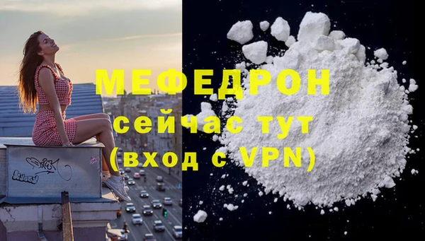МДПВ Дмитриев