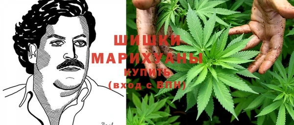 МДПВ Дмитров