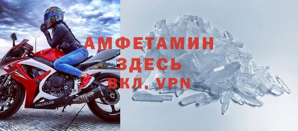 индика Дмитровск