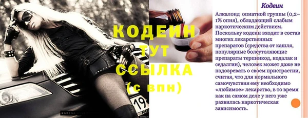 МДПВ Дмитриев