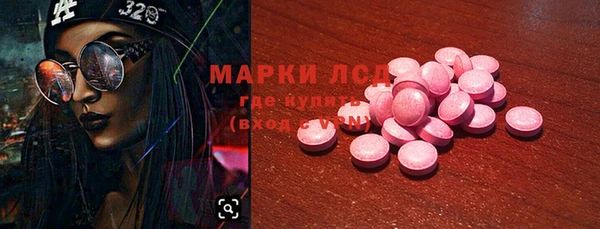МДПВ Дмитриев