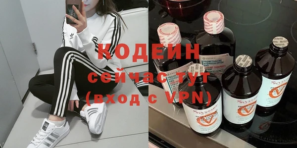 индика Дмитровск