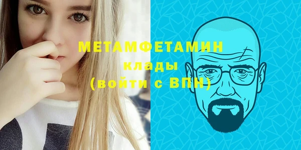 индика Дмитровск