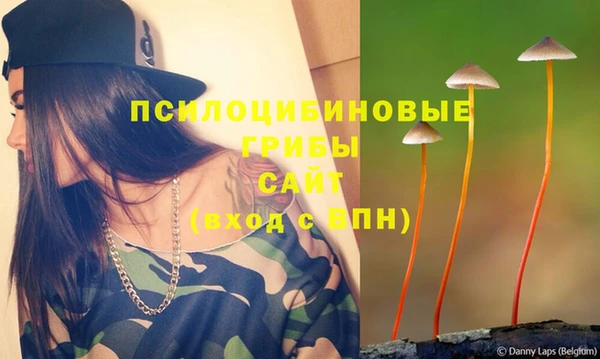 индика Дмитровск