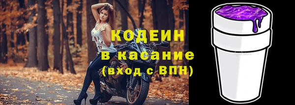 индика Дмитровск